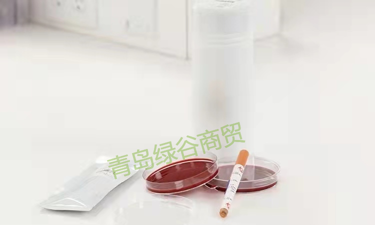 美国原装进口ATCCNCIMB 13285化脓性链球菌Streptococcus pyogenes 带证书