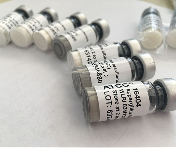 近日我们为某视频公司供应ATCC菌株产品已发货